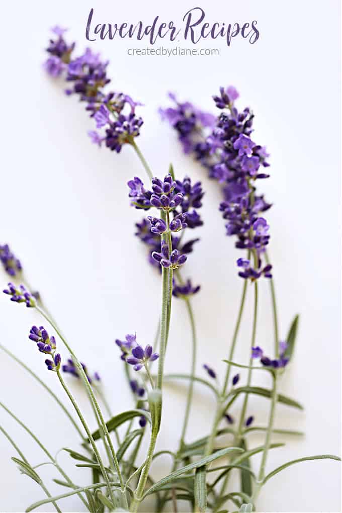 lavender recipes www.createdbydiane.com