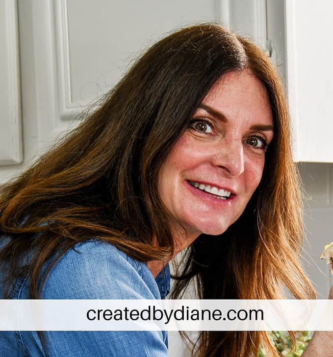 createdbydiane.com Diane Schmidt Food Blogger 
