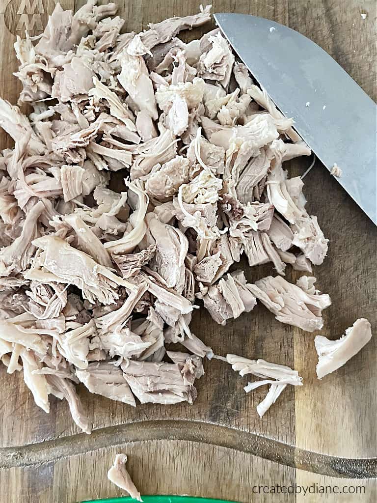 Blended Chicken Soup | Created by Diane