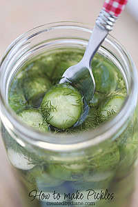how to make dill pickles in the fridge createdbydiane.com