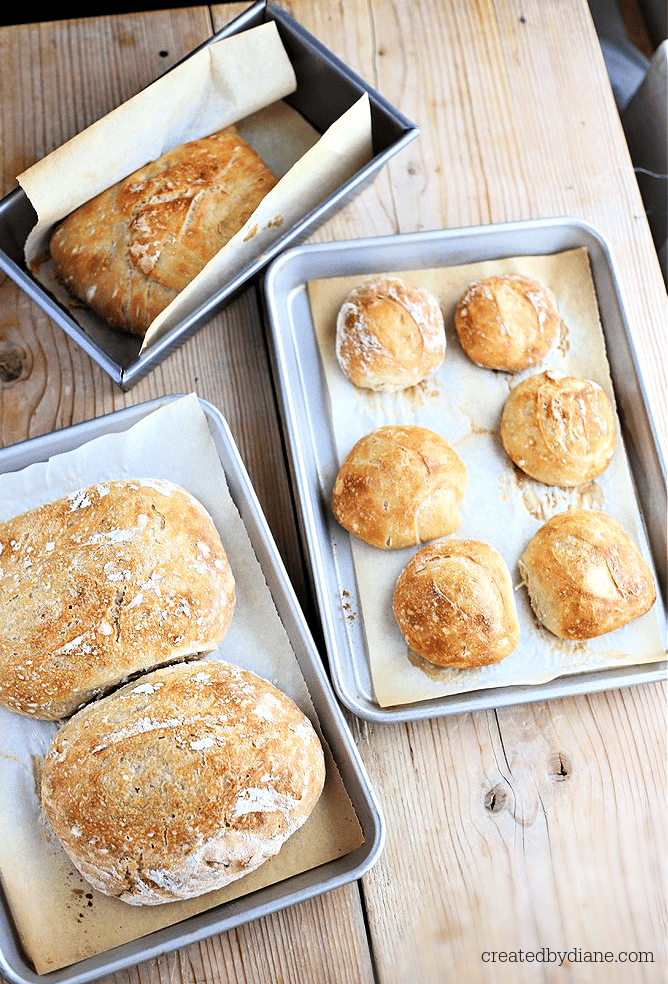 ARTISAN BREAD RECIPE for crusty bread and rolls createdbydiane
