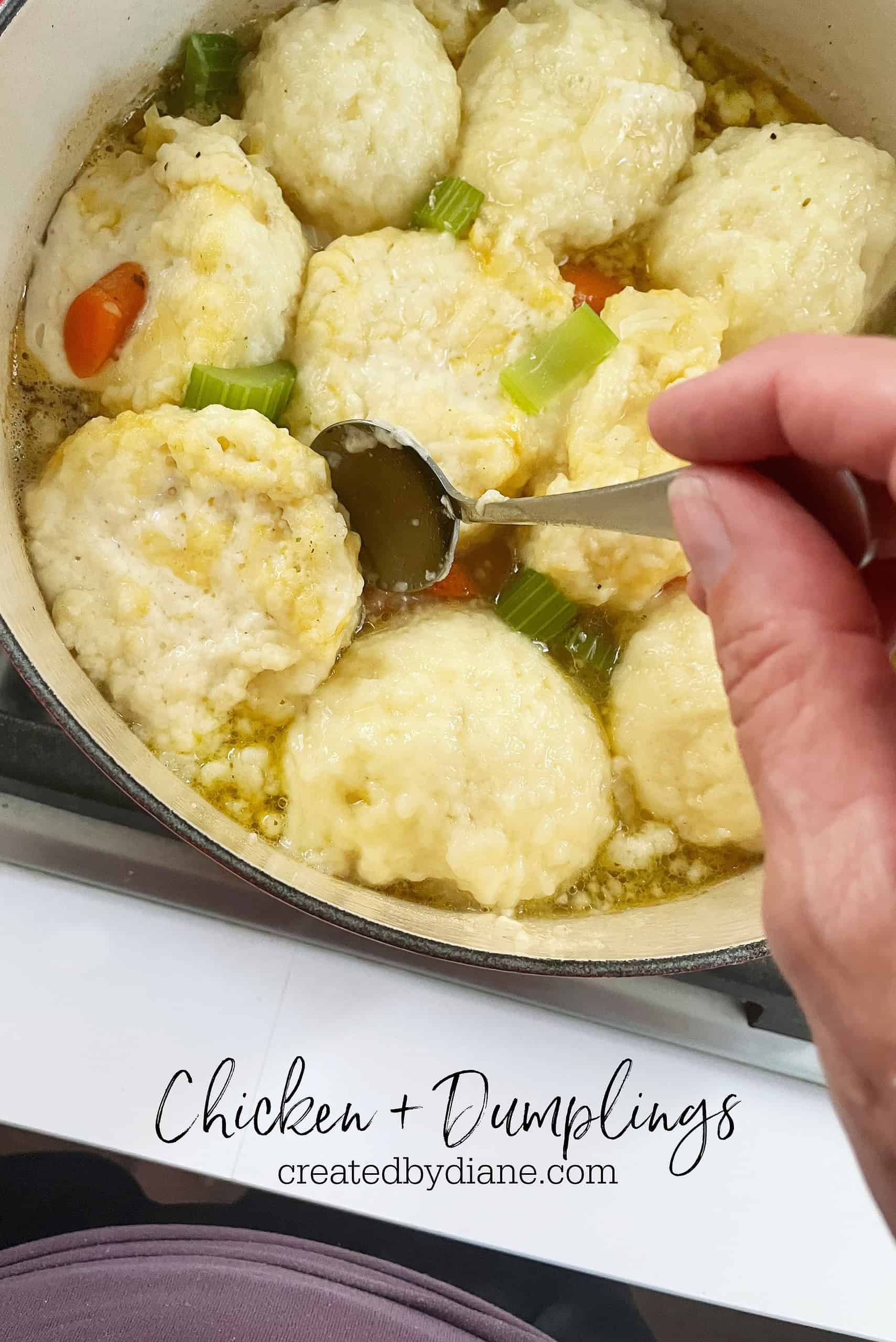 dumplings-with-chicken-and-gravy